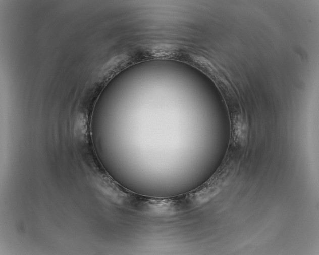 X0000112540667200908171443