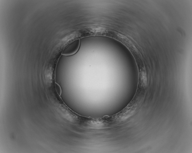 X0000112540668200908171443