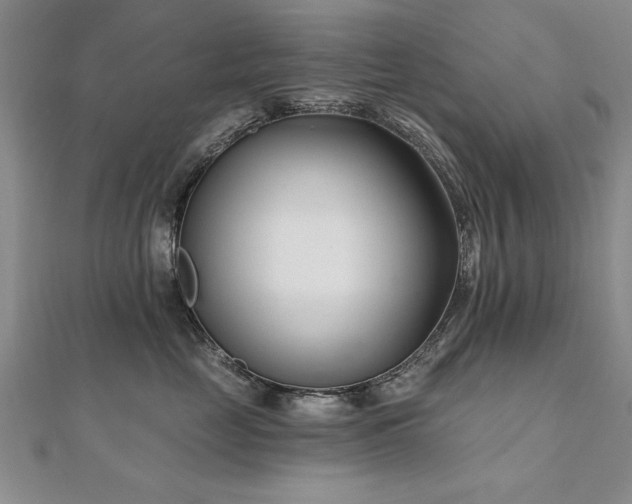 X0000112540669200908171443
