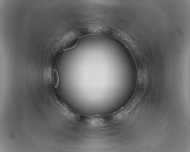 X0000112540670200908171443