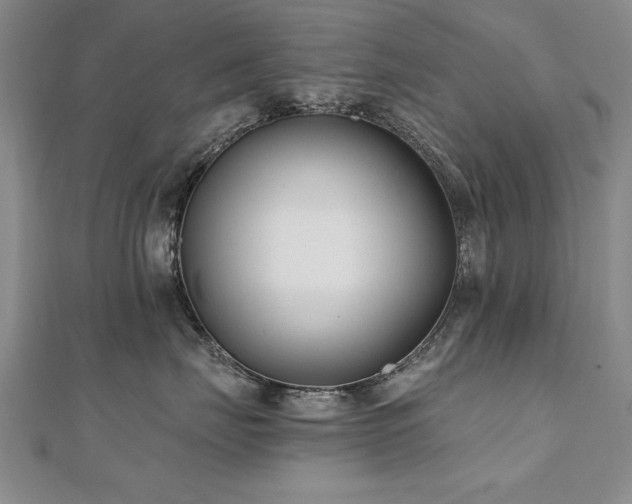 X0000112540671200908171443