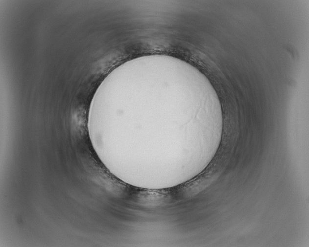 X0000112540672200908171443