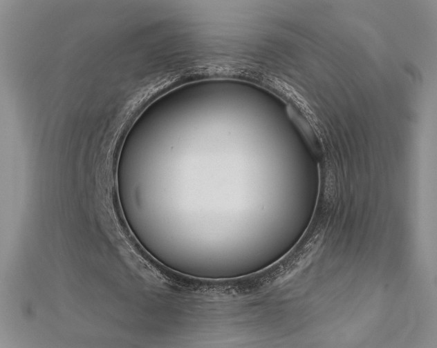 X0000112540673200908171443