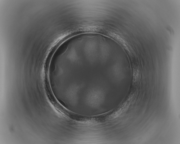 X0000112540674200908171443