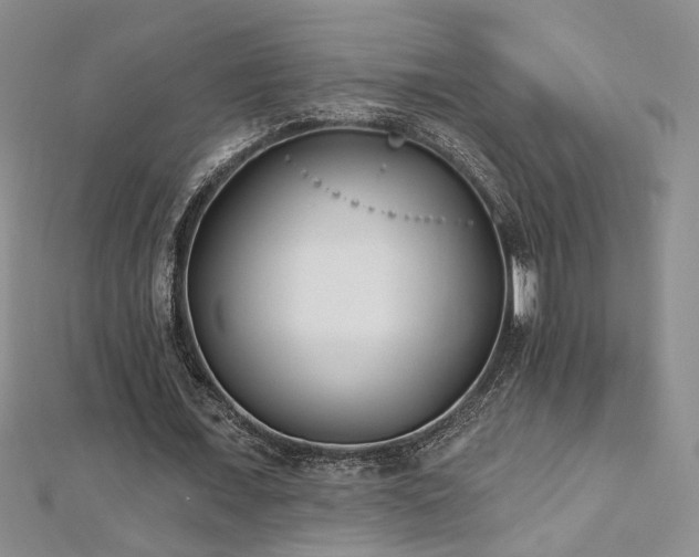 X0000112540675200908171443