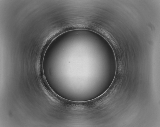 X0000112540677200908171443