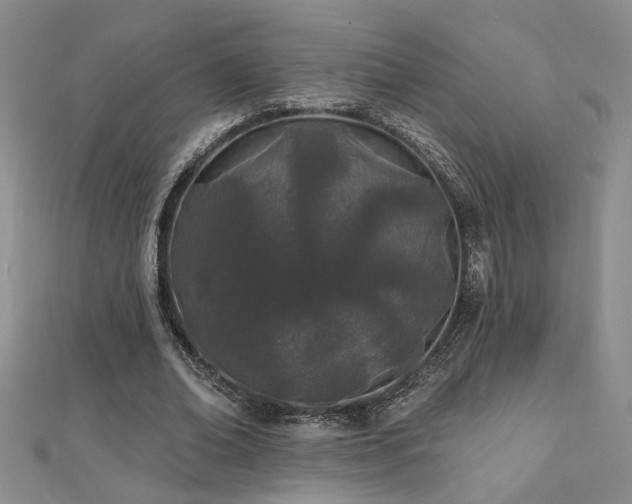 X0000112540678200908171443
