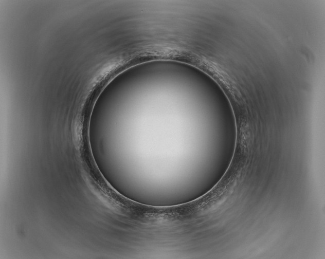 X0000112540679200908171443