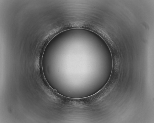 X0000112540681200908171443