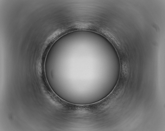 X0000112540682200908171443