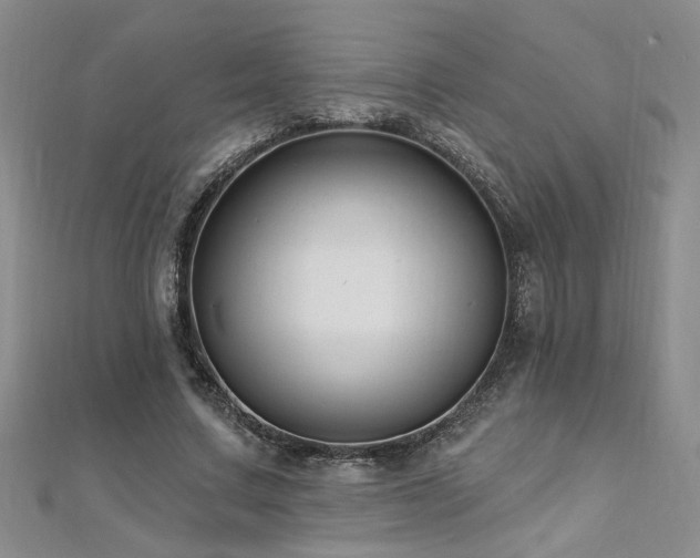 X0000112540683200908171443