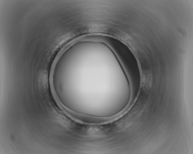 X0000112540684200908171443