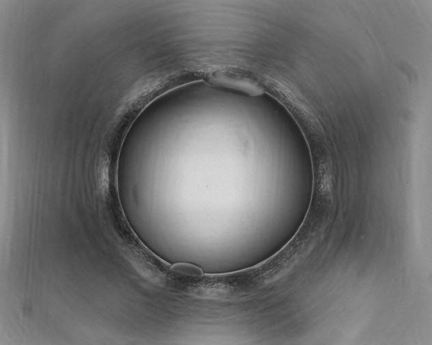 X0000112540685200908171443