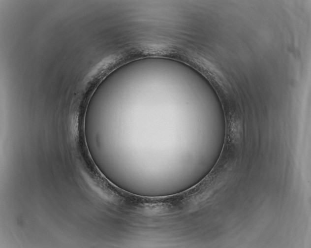 X0000112540686200908171442