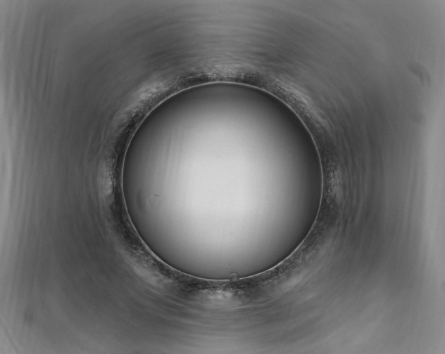 X0000112540687200908171442