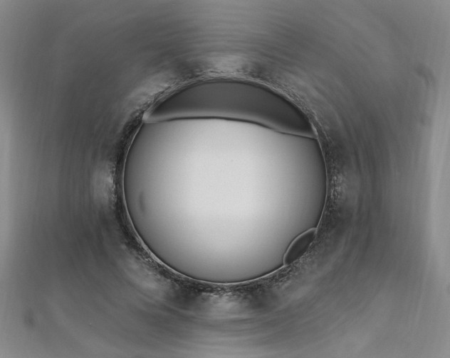 X0000112540688200908171442