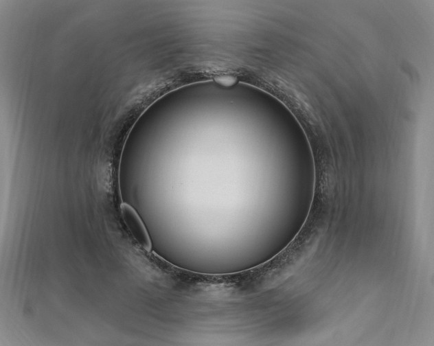 X0000112540689200908171442