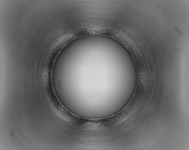 X0000112540690200908171442