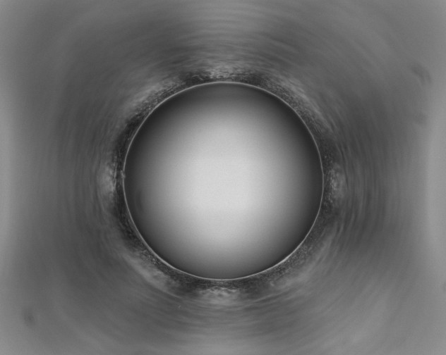 X0000112540691200908171442