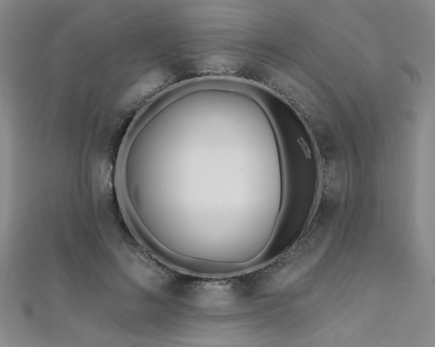 X0000112540692200908171442