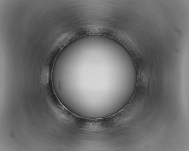 X0000112540694200908171442