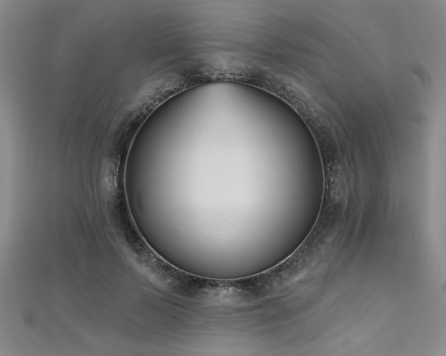X0000112540695200908171442