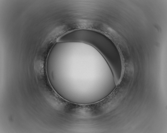 X0000112540696200908171442