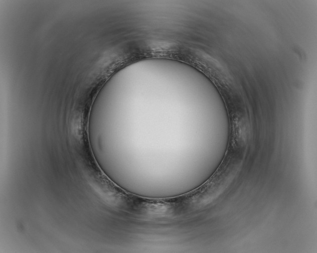 X0000112540698200908171442