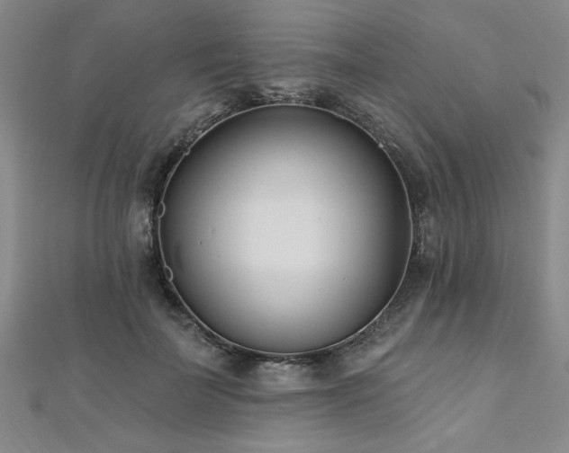 X0000112540699200908171442