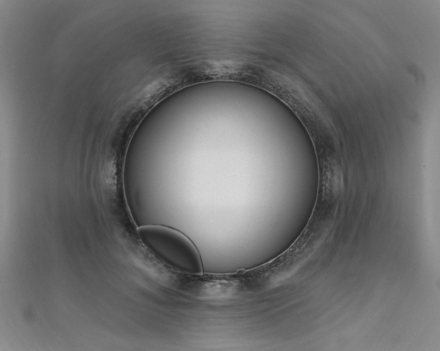 X0000112540700200908171442