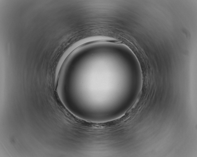 X0000112540701200908171442