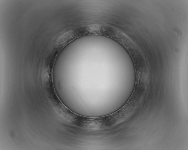 X0000112540702200908171442