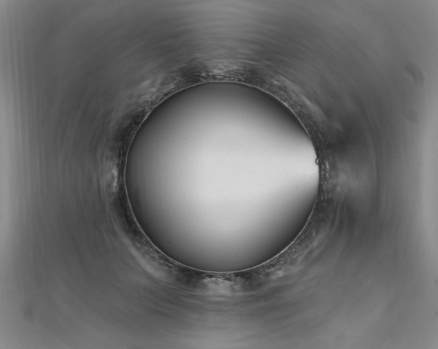 X0000112540703200908171442