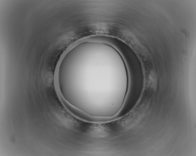 X0000112540704200908171442