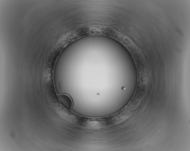 X0000112540706200908171442