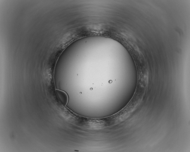 X0000112540707200908171442