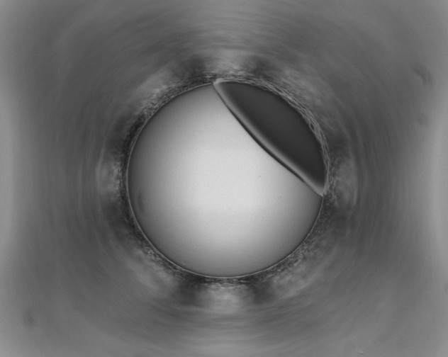 X0000112540708200908171442
