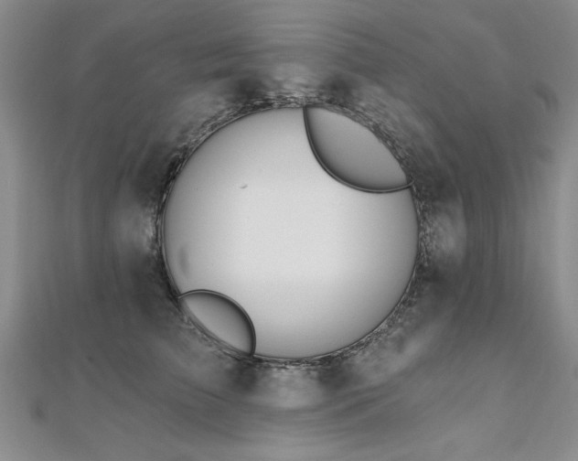 X0000112540709200908171442