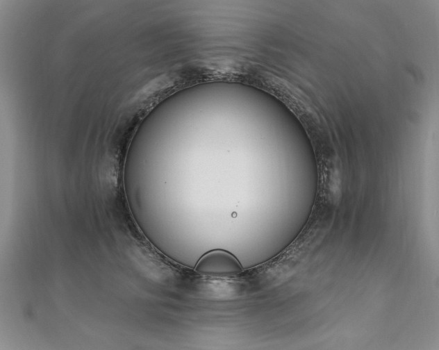 X0000112540710200908171442