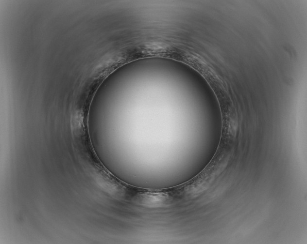 X0000112540711200908171442