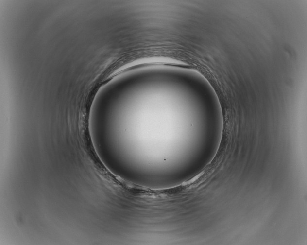 X0000112540712200908171442
