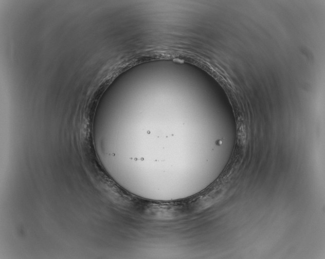 X0000112540713200908171442
