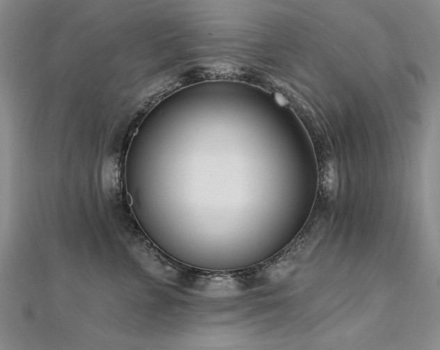 X0000112540715200908171442