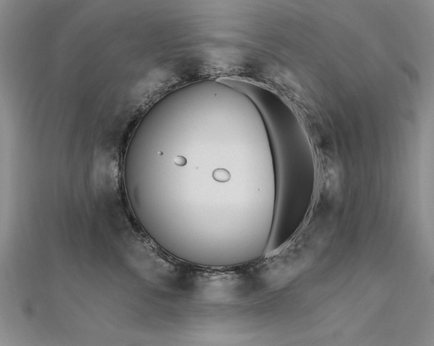 X0000112540716200908171442