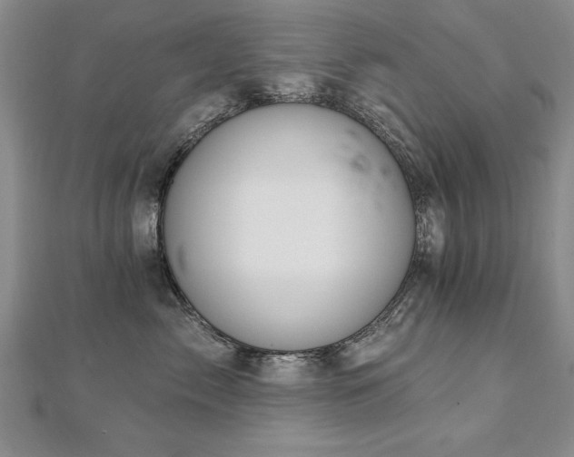 X0000112540717200908171442