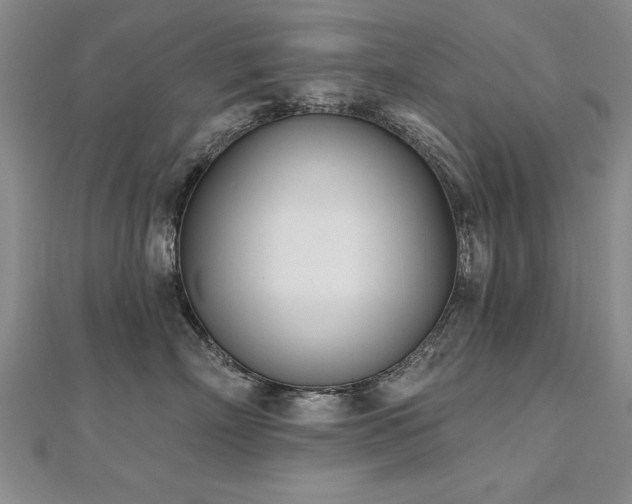 X0000112540718200908171442