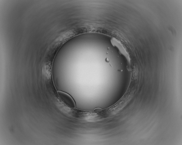 X0000112540719200908171442