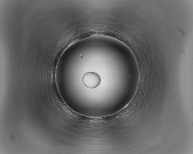 X0000112540720200908171442