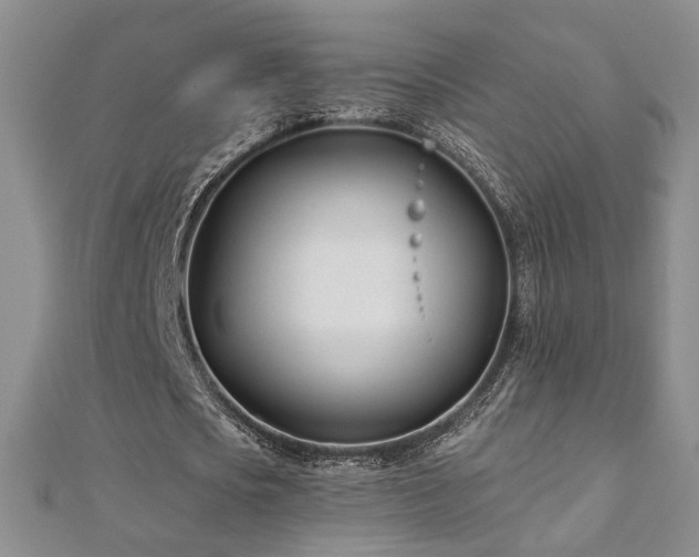 X0000112540721200908171441