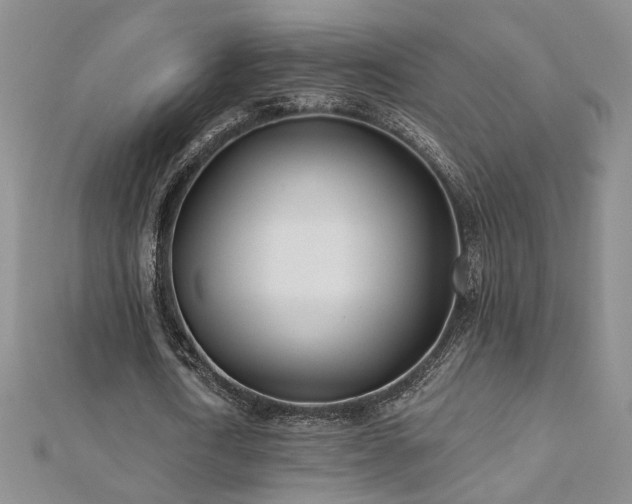 X0000112540722200908171441